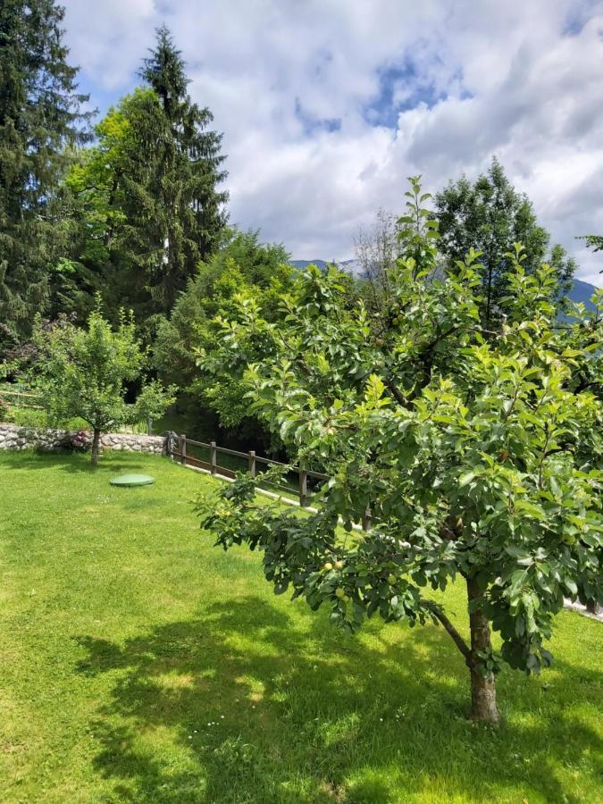 Apartma Arnez Bled Eksteriør bilde